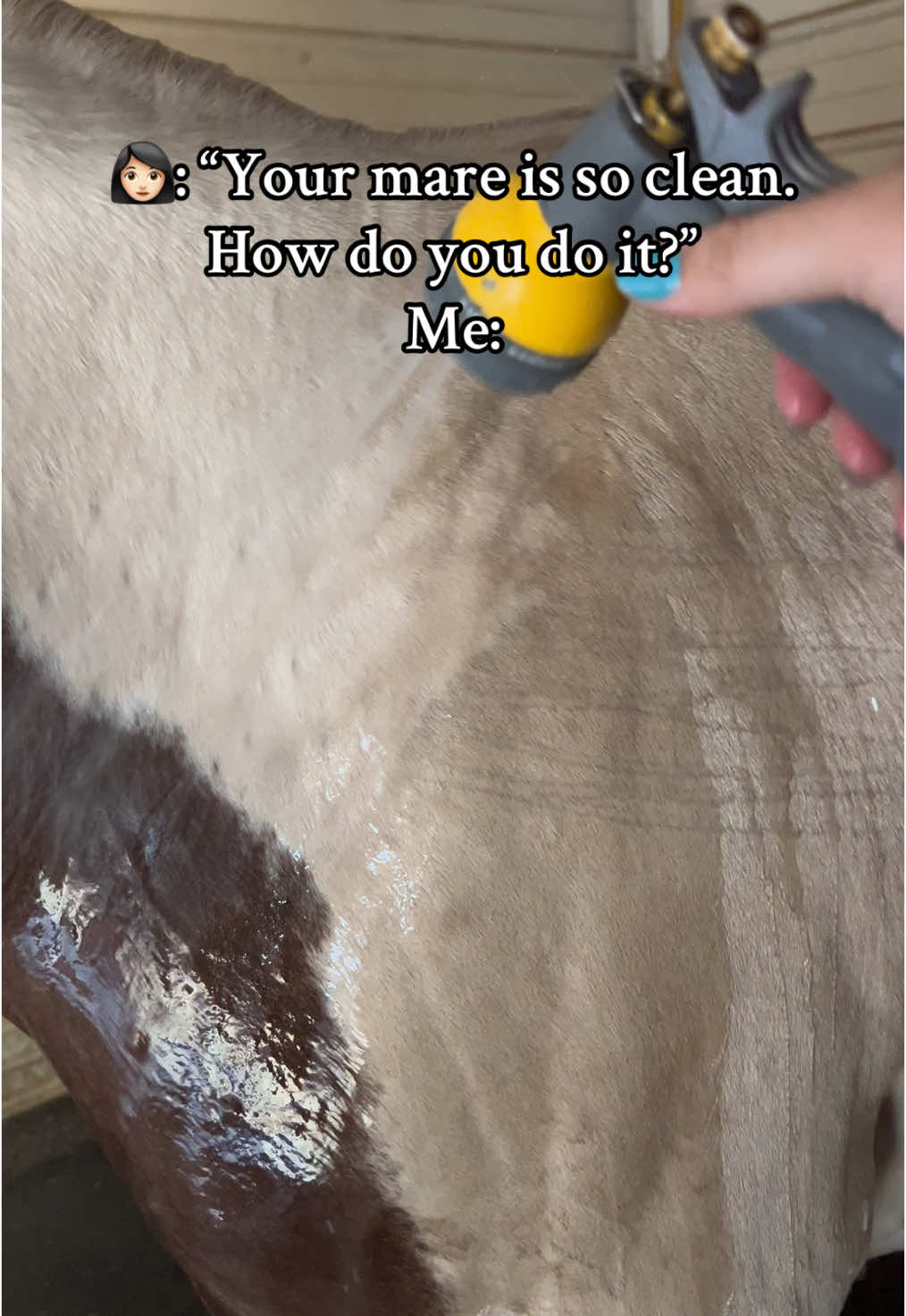 To be honest, she’s never clean and now that it’s winter…well I hate it here sometimes. 😅 #horsecare #bathtime #painthorses #ranchtok 