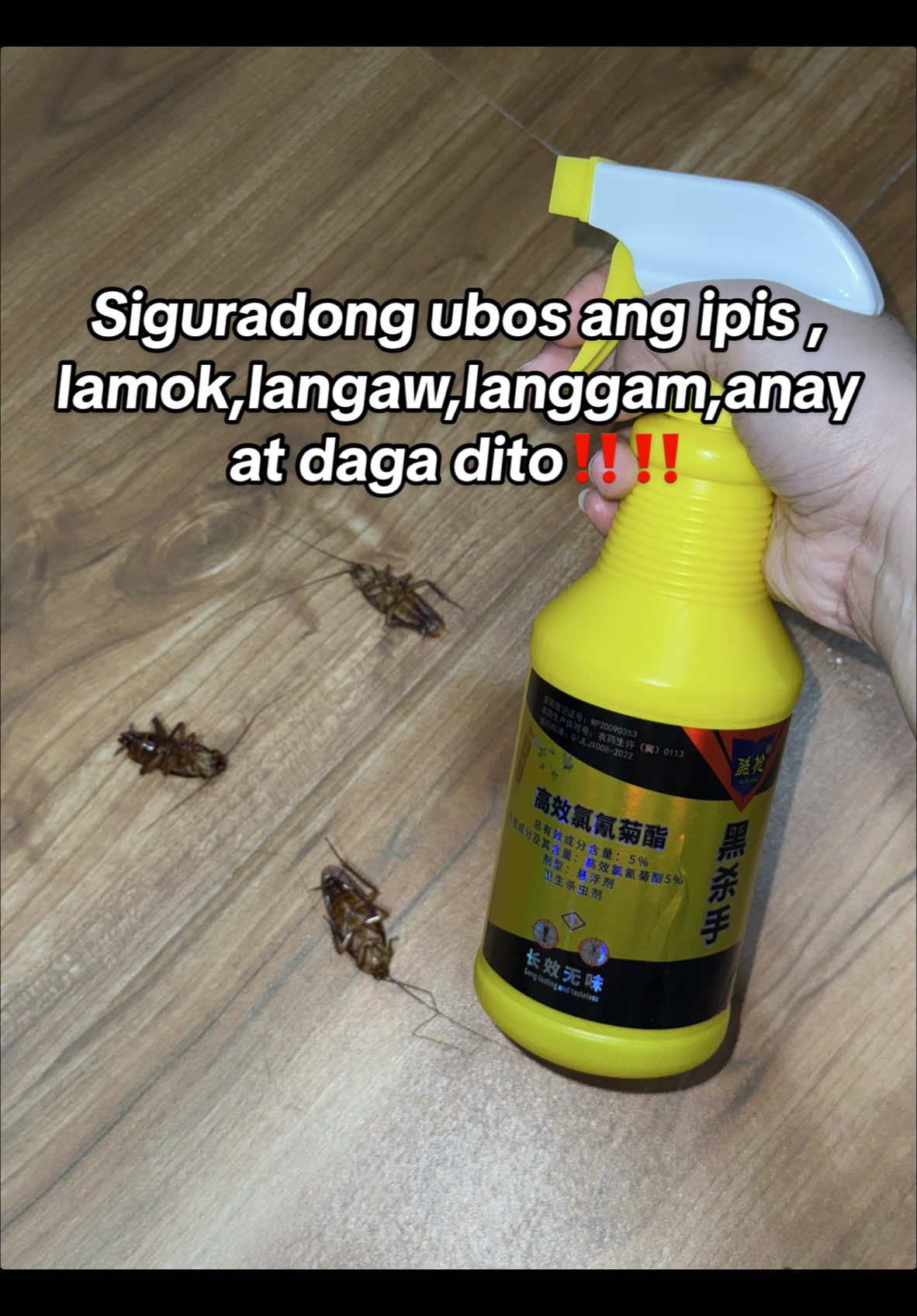 Grabe!! Siguradong ubos ang ipis , lamok,langaw,langgam,anay at daga dito! Ang galing tlaga nito! #insectkiller #insectspray #flykiller #pesticides #insecticide #insectrepellant #langaw #ipis 