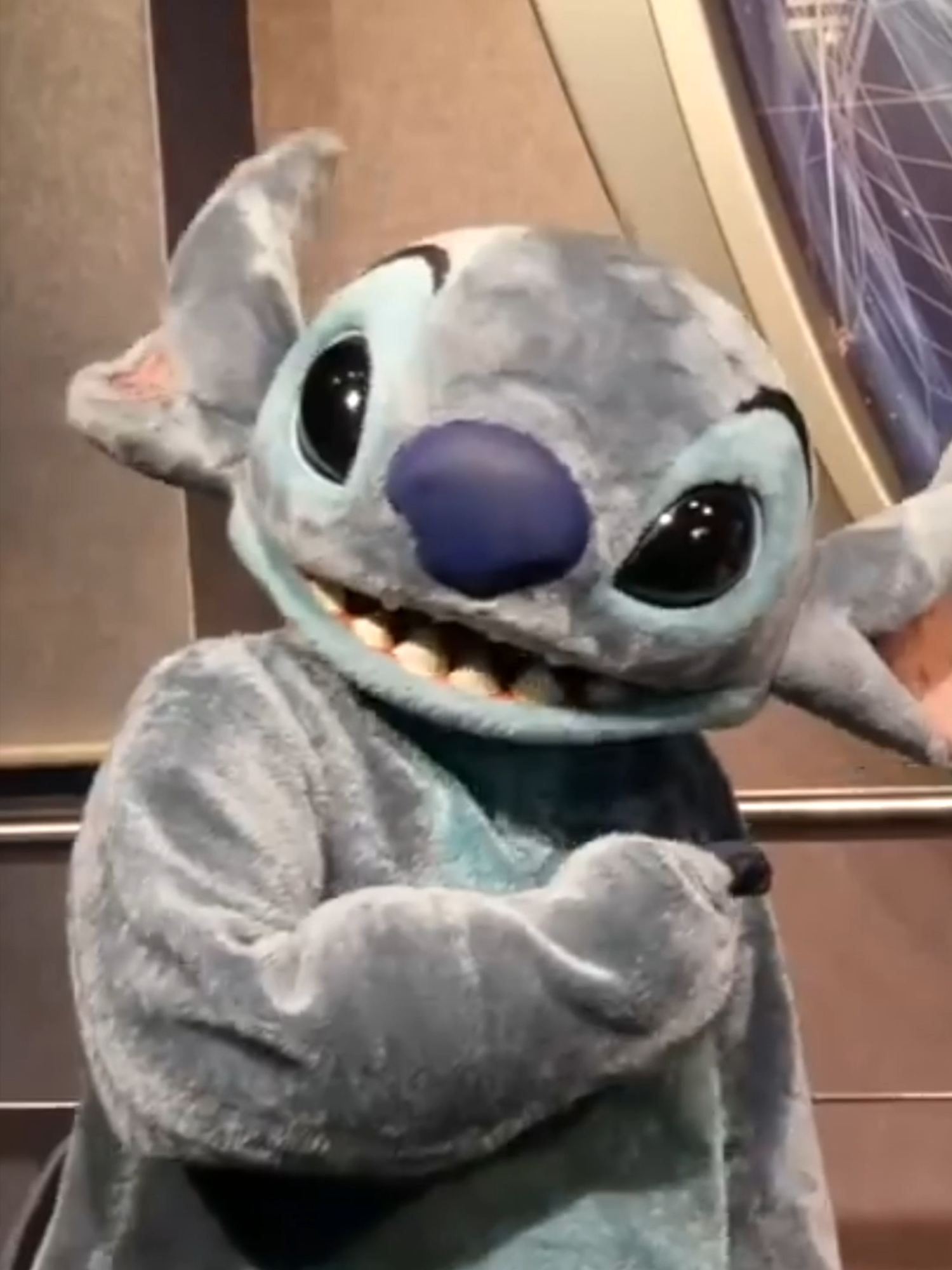 Stitch Couldn't Believe His Ears! #disney #disneyworld #liloandstitch #stitch #impressions