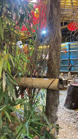 --这个不就是当年扛着录音机身穿拿叭裤的纸哥吗？#现场实拍 #原生态#连锁反应 
