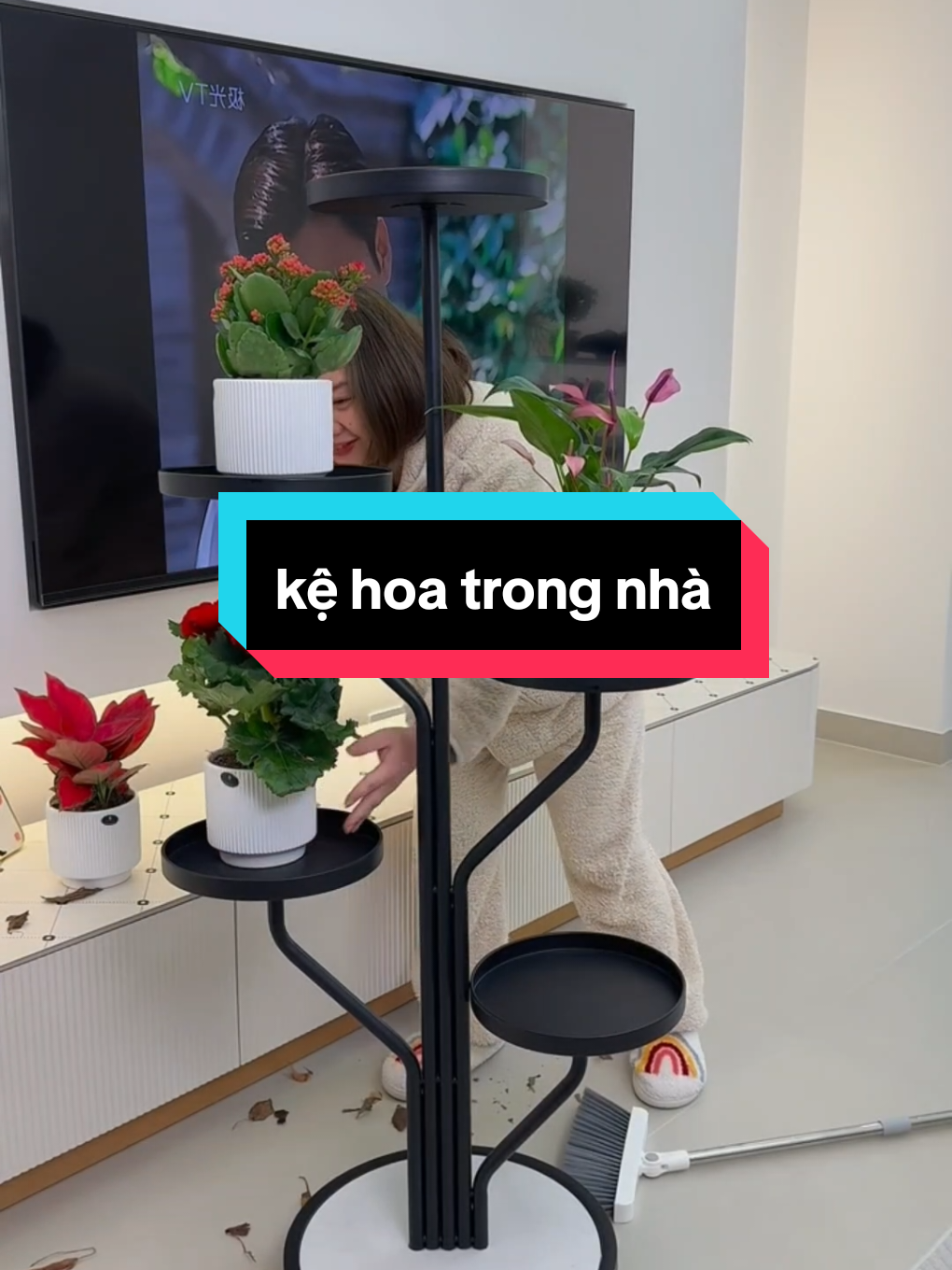 Kệ kê hoa trưng trong nhà. Ghé phânf trưng bày của shop để mua ạ. #kehoatrongnha#kehoa#giakehoa #samtetbaovui 