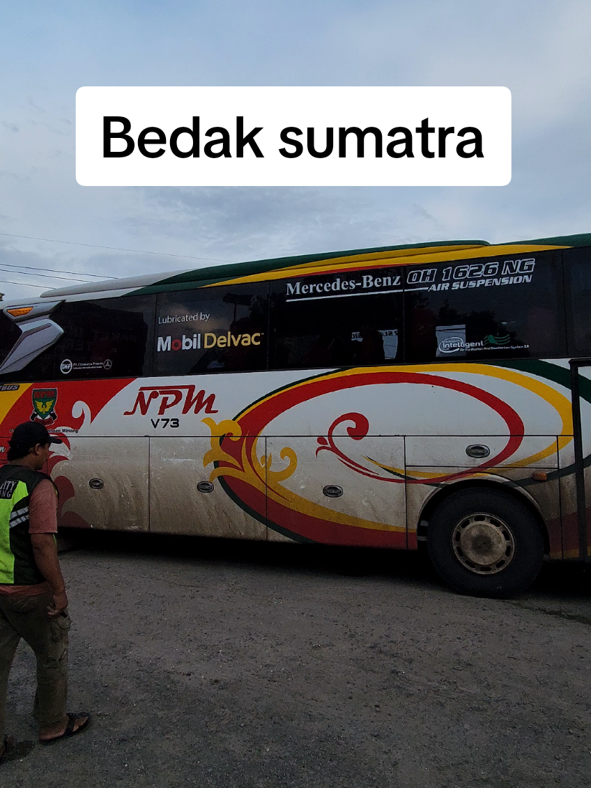 Pesona bedak sumatra #npm #busnpm #busindonesia 