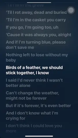 BIRDS OF A FEATHER - Vocals Only  @BILLIE EILISH #acapella #vocalsonly #voiceaura #birdsofafeather #creatorsearchinsights #billieeilish #nomusic #halalmemes #halalsounds 