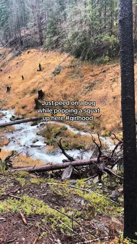 Posting my drafts because tik tok is going away anyway 😭 #girlhood #girl #girlhoodaesthetic  #getlost #traveltiktok #sprituality #nature #wilderness #vanlife #traveltok #nationalpark #traveltiktoker #pnw 