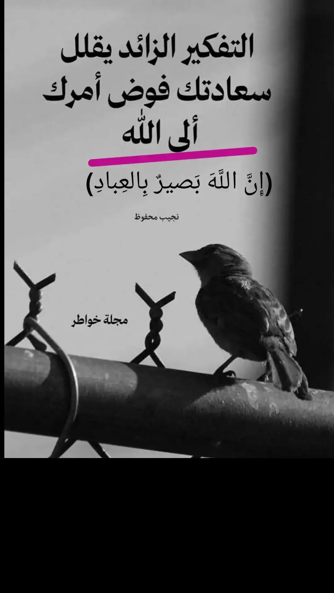 #ونعم_بالله_العلي_العظيم #اللهم_صل_على_محمد_وآل_محمد 