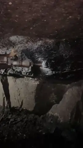 #mining #tik #fyp #viral 