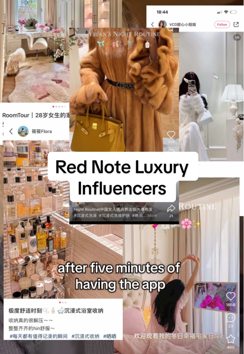 Setting the bar for all of us🫶✨ #tiktokrefugee #rednote #chinesefashion #luxuryinfluencer #fashioninfluencer 