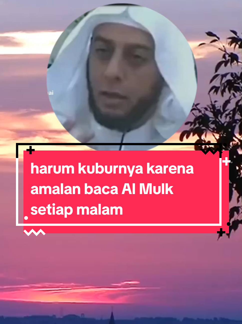 Harum kuburnya karena amalan baca Al Mulk setiap malam #amalan #almulk #almulksebelumtidur #syeikhalijaber #ariekhafidzquran #dakwah 