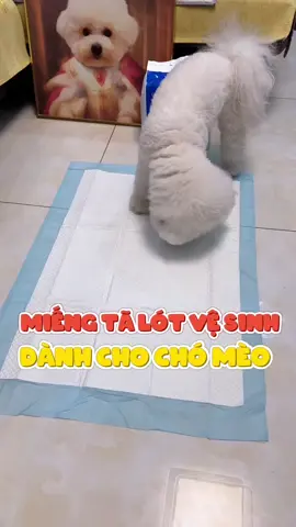 Miếng tả lót vệ sinh cho chó mèo #cute #cutedog #puppy #puppydog #doglover #animals #fyp #pet #dog #abcxyz 