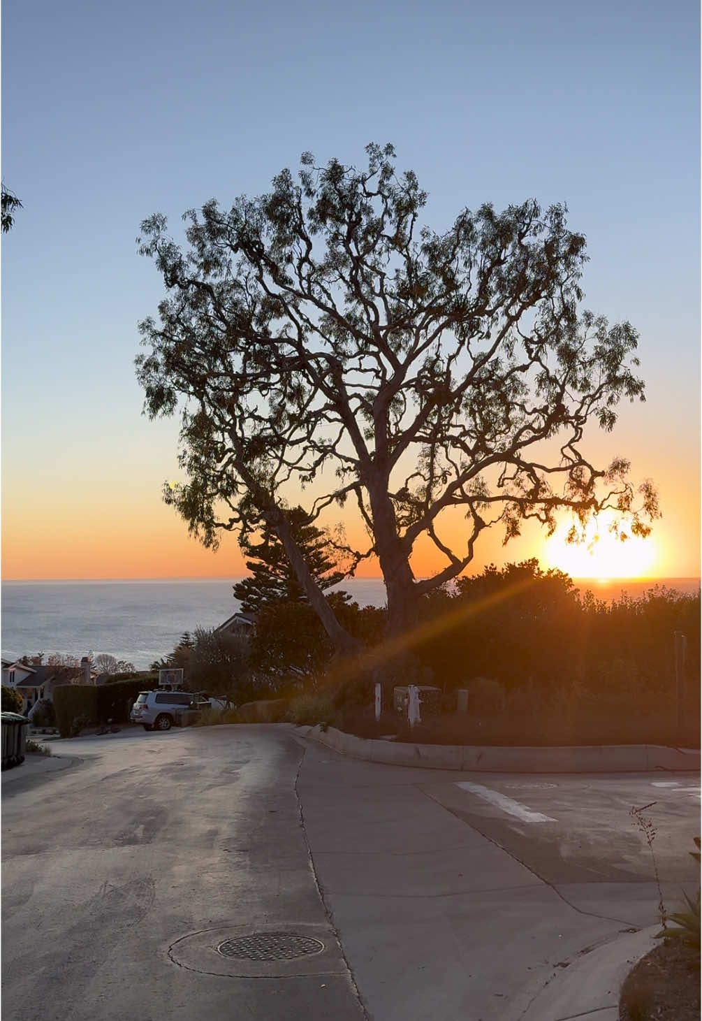 #lagunabeach #fyp #socal 