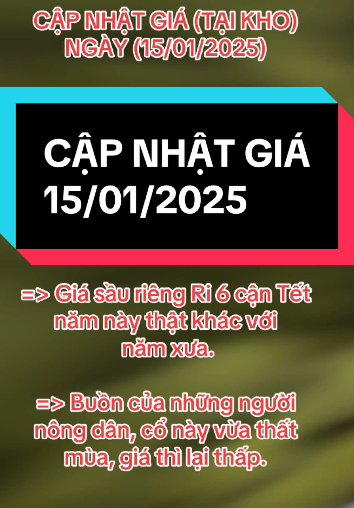 CẬP NHẬT GIÁ (TẠI KHO)  NGÀY (15/01/2025) Thái 👉 AVIP : 150k-160k Ri6 👉 AVIP: 75k-85k => Giá sầu riêng Thái và Ri 6 tiếp đà giảm mạnh => Giá sầu riêng Ri 6 cận Tết năm này thật khác với năm xưa. => Buồn của những người nông dân, cổ này vừa thất mùa, giá thì lại thấp. #WomenInSports #ThanhThoiLuotTet #capcut #xuhuong #fyp #63tiengiang #saurieng #sauriengmientay #sauriengtiengiang #caibe #LearnOnTikTok #trending #viral #sauriengri6 #ri6 #sauriengri6mientay #sauriengmonthong #monthong #sauriengthai #sauriengthaimonthong #blackthorn #sauriengblack #musangking #sauriengmusangking #cailaytiengiang #chauthanhtiengiang #mientayquetoi 