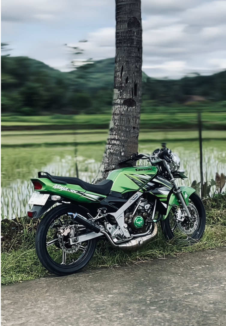 Tiwas tuku ninja ora sido di cinta, Aduh dekk🤪 #kawasakininja #2stroke #ninjass #ninja150 #2strokeindonesia #2strokemagelang #2strokelover #fyp 