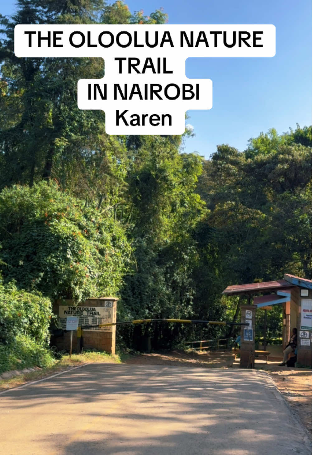 The Oloolua Nature Train in Karen Entry Fee Ksh.200 #naturevibes #olooluanaturetrail #deenaturalskenya #Vlog #trendy #nature #caves 
