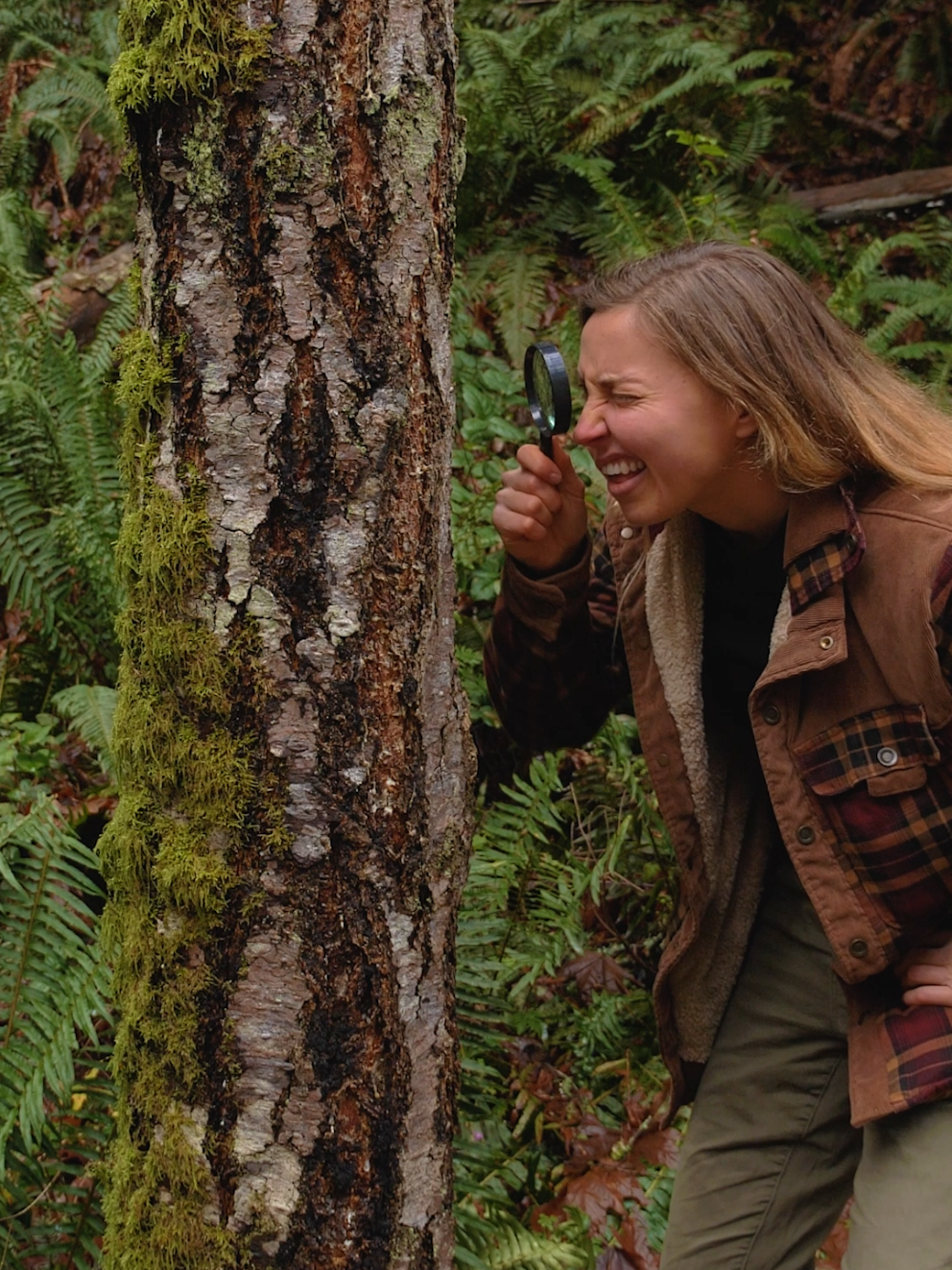 If you want to get more specific, check out my YouTube channel for a new video on Tree Identification 🌲