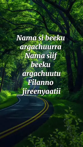 jechoota Beektotaa #oromotiktok #🎹🎹🎸🎶🎵🎼🎼🎧🎺🎙 #Capcut #foryoupage #habeshatiktok #oromotiktok #oromotiktok❤️💚❤️ethiopiantiktok 
