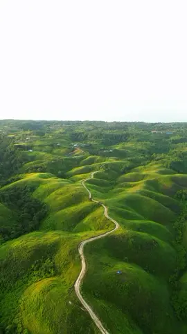 Ever wondered what it's like to live in a Teletubby world? Head to Teletubbies Hill in Luwuk and let your imagination run wild! 🌿✨ 📍 Teletubbies Hill, Banggai Regency, Central Sulawesi 📷 IG @reza.alfrizi #WonderfulIndonesia #WonderfulJourney #TeletubbiesHill #LuwukBanggai