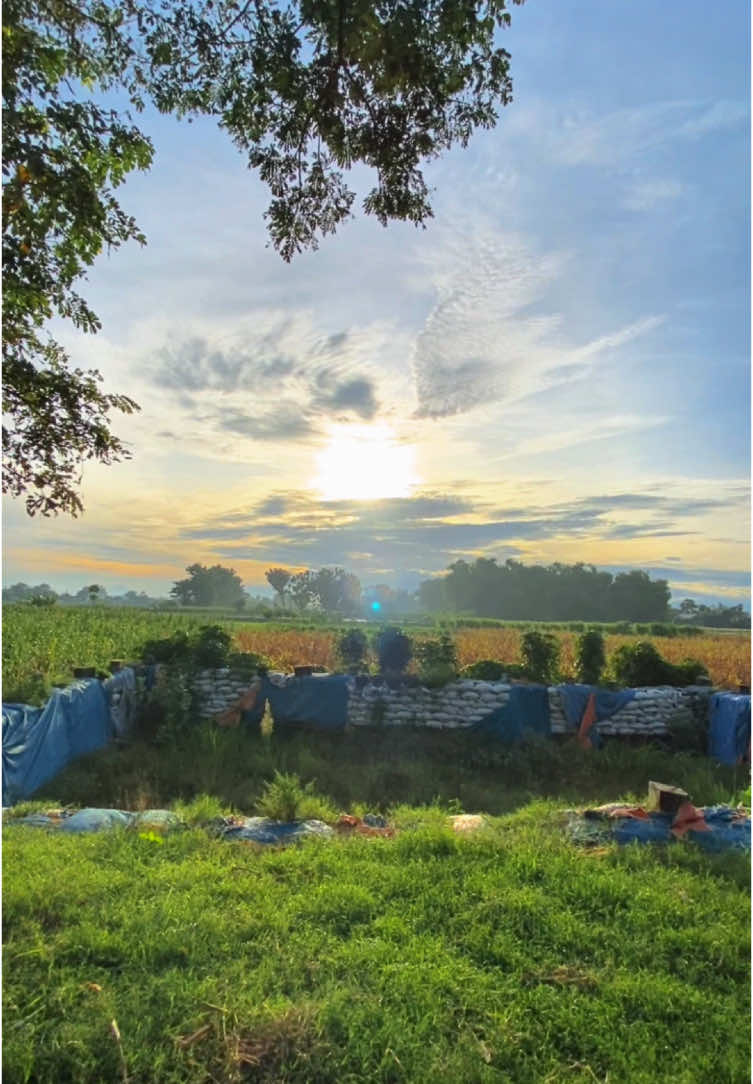 Baru bangun tidur, langsung kelingan mbiyen