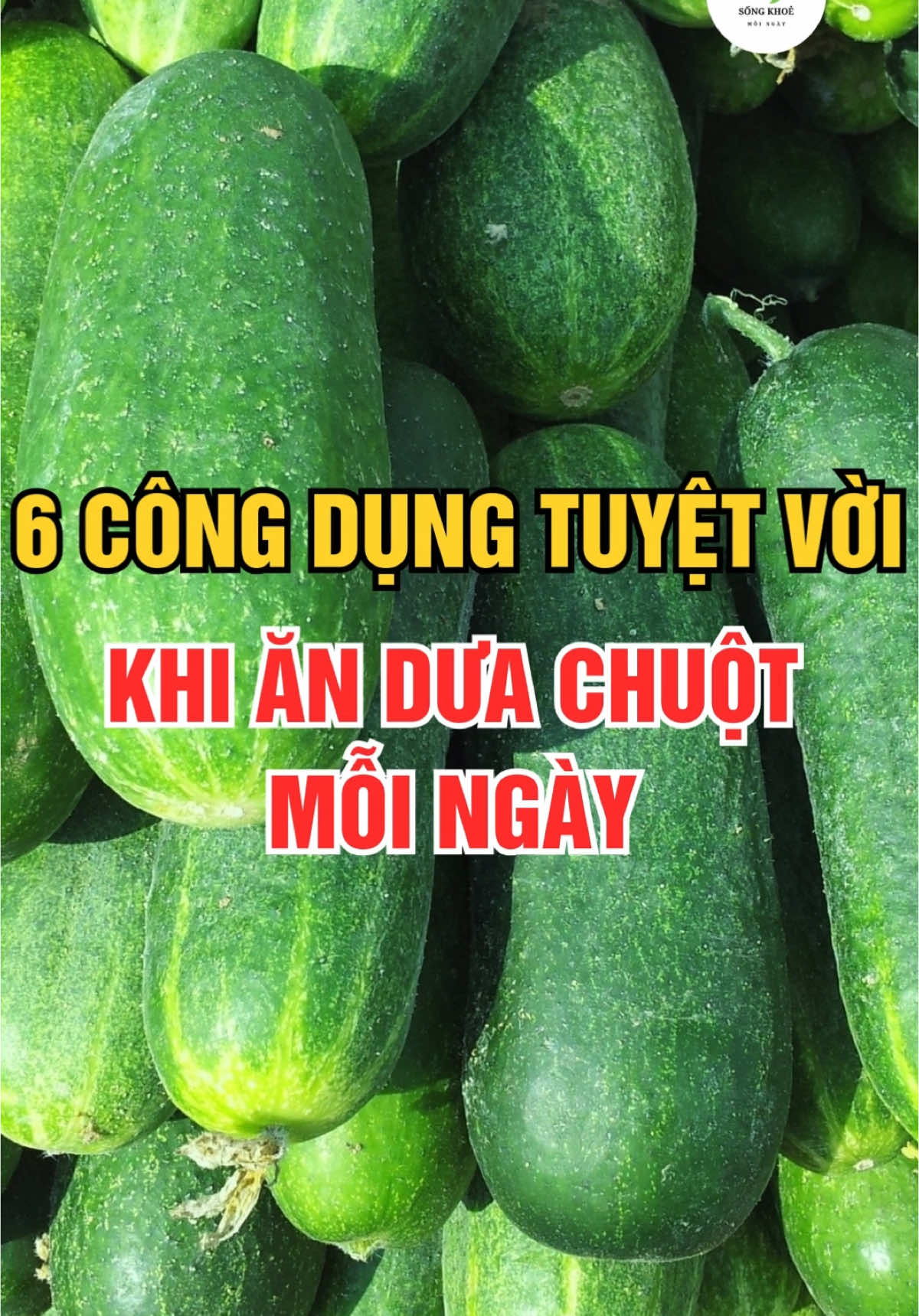 6 Công dụng tuyệt vời khi ăn Dưa Chuột mỗi ngày #songkhoemoingay #duachuot #healthy #food 