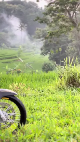 Jangan mengejar kesempurnaan, tapi jadilah manusia yang selalu merasa cukup 🌾 #danapelajar #cbdownsize #cbindonesia 