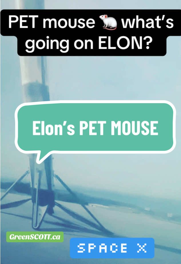 💥BLASTOFF! Elon Musks PET mouse 🐁 #spacemouse #elonsmouse #spacex #starlink #rocketlaunch #space #spaceforce 