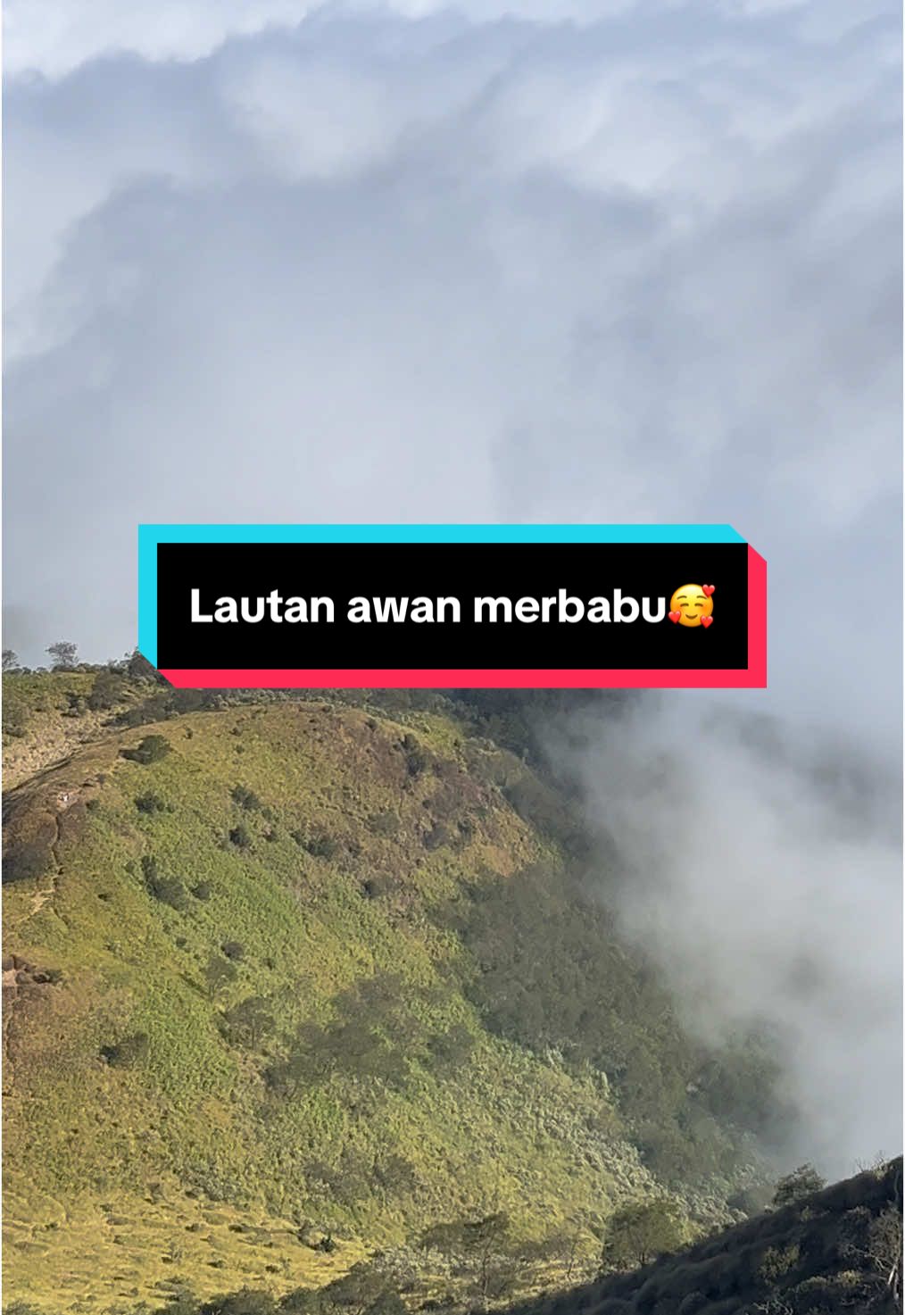 ceritakan di sini ya 🧠