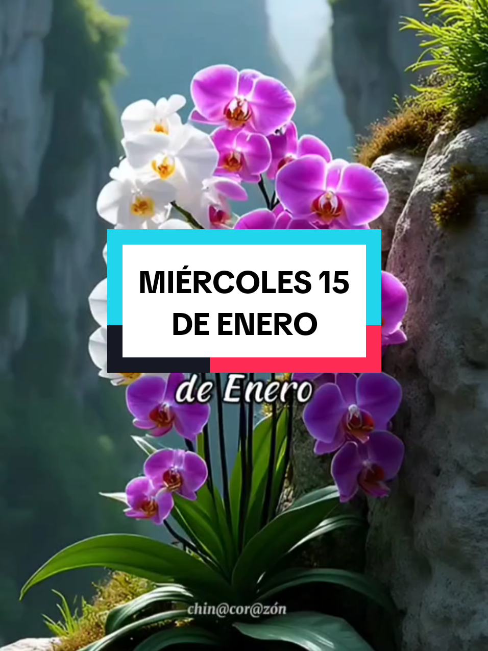 #parati #Mensajes y Motivación #Miércoles 15 de Enero #Buenos Días #Gracias Díos por permitirme ver la lúz de un nuevo amanecer 🙏❤️