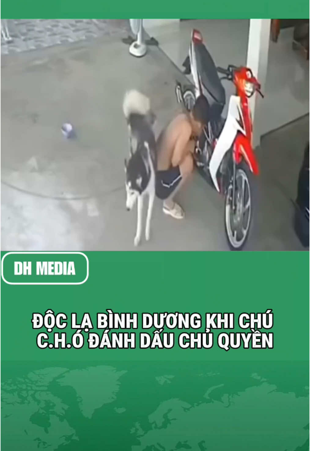 ĐỘC LẠ BÌNH DƯƠNG KHI CHÚ C.H.Ó ĐÁNH DẤU CHỦ QUYỀN #theanh28 #dcgr #dhmedia #tiktoknews #xuhuongtiktok #thinhhanh 