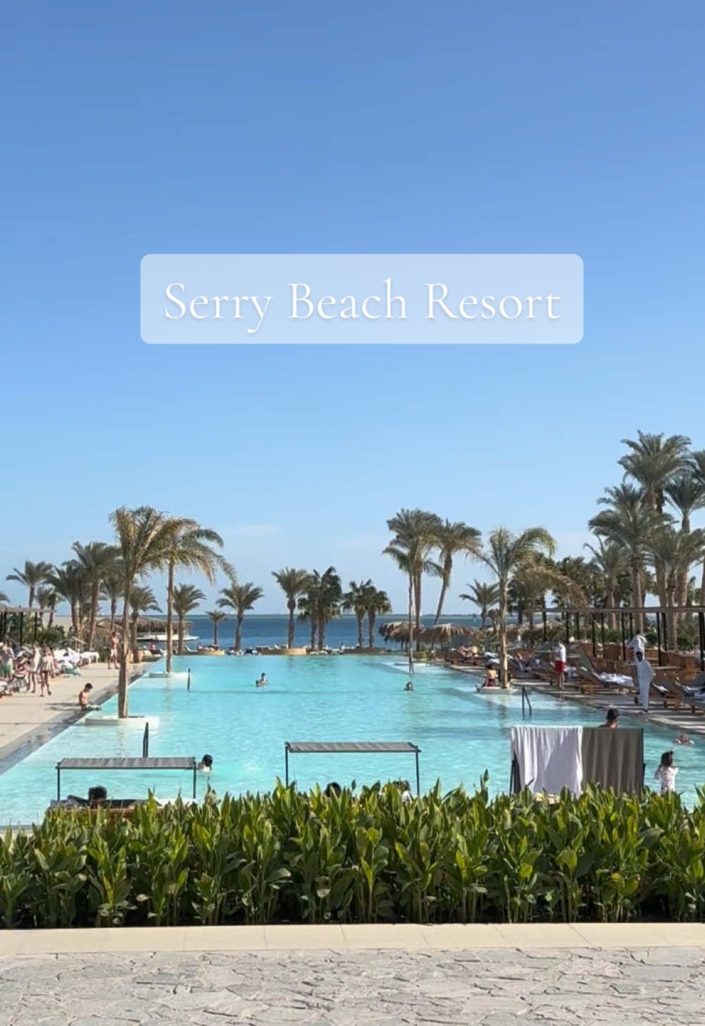 Serry Beach Resort  📍Hurghada  #serrybeachresort #egypt #hurghada #beautiful #resort 