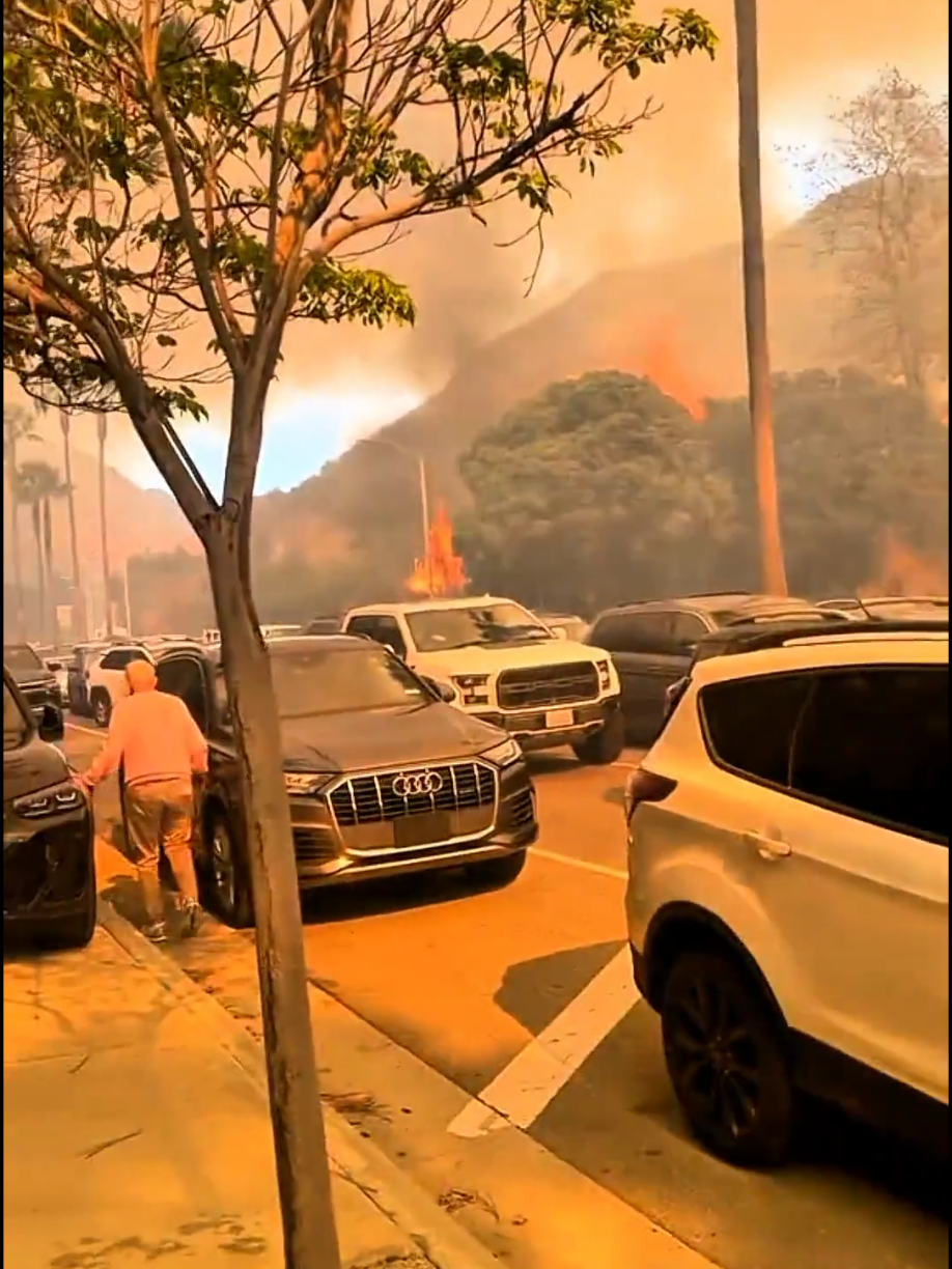 Los Angeles Carolina wildfires latest video #wildfire #lawildfire2025 #losangeleswildfires #WildfiresInCalifornia #CaliforniaFires #losangeles #CaliforniaWildfires #CaliforniaFireUpdates 