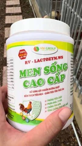 Men sống cao cấp ,ae dùng thường xuyên cho gà ,giúp gà hấp thụ tốt kháng sinh các bệnh thời tiết trên gà#ga#mentieuhoachoga #gada#thuocgadacantho  