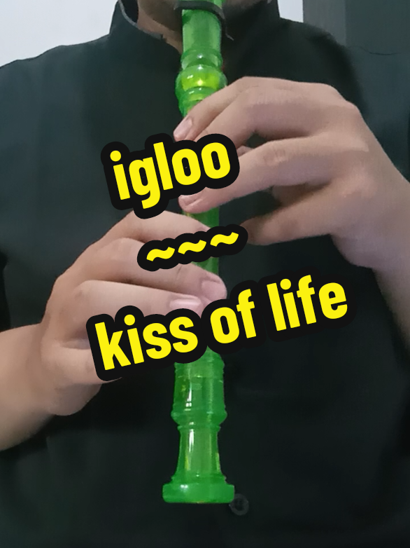 #fyp #tutorial #recorder #igloo #kissoflife #kiof #iglookissoflife #kissoflifeigloo #kiofigloo #iglookiof #iglookissoflifecover #masukberandafyp #xyzbca #viral 