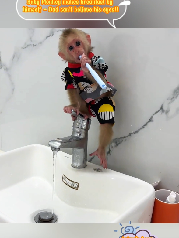 Baby Monkey makes breakfast by himself – Dad can't believe his eyes!! #babymonkey #monkey #animals #pets #monkeys #pet #animal #loveanimals 