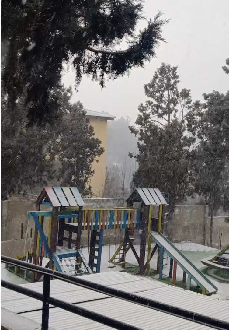 Right now……🤍❄️ . . . #Residency_lodges_ziarat #hello_winter🤍☃️ #quetta #ziarat #balochistan #karachi #islamabad #lahore #tousrism #tousrism #snow #nature #fyppppppppppppppppppppppp #Hotel #greenry 