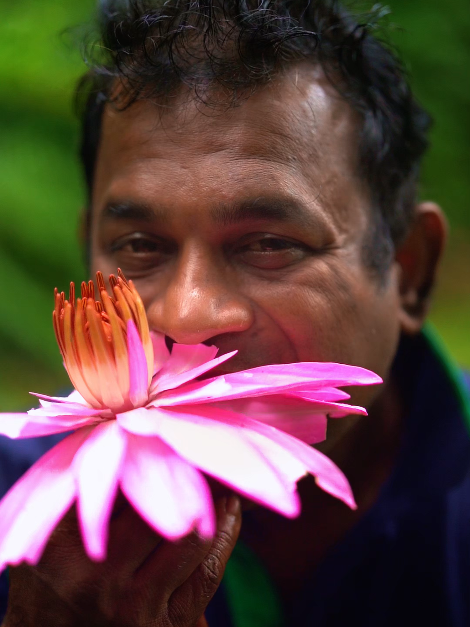 Pink Water Lily ASMR eating #asmr#asmreating #whattoeat #wheretoeat