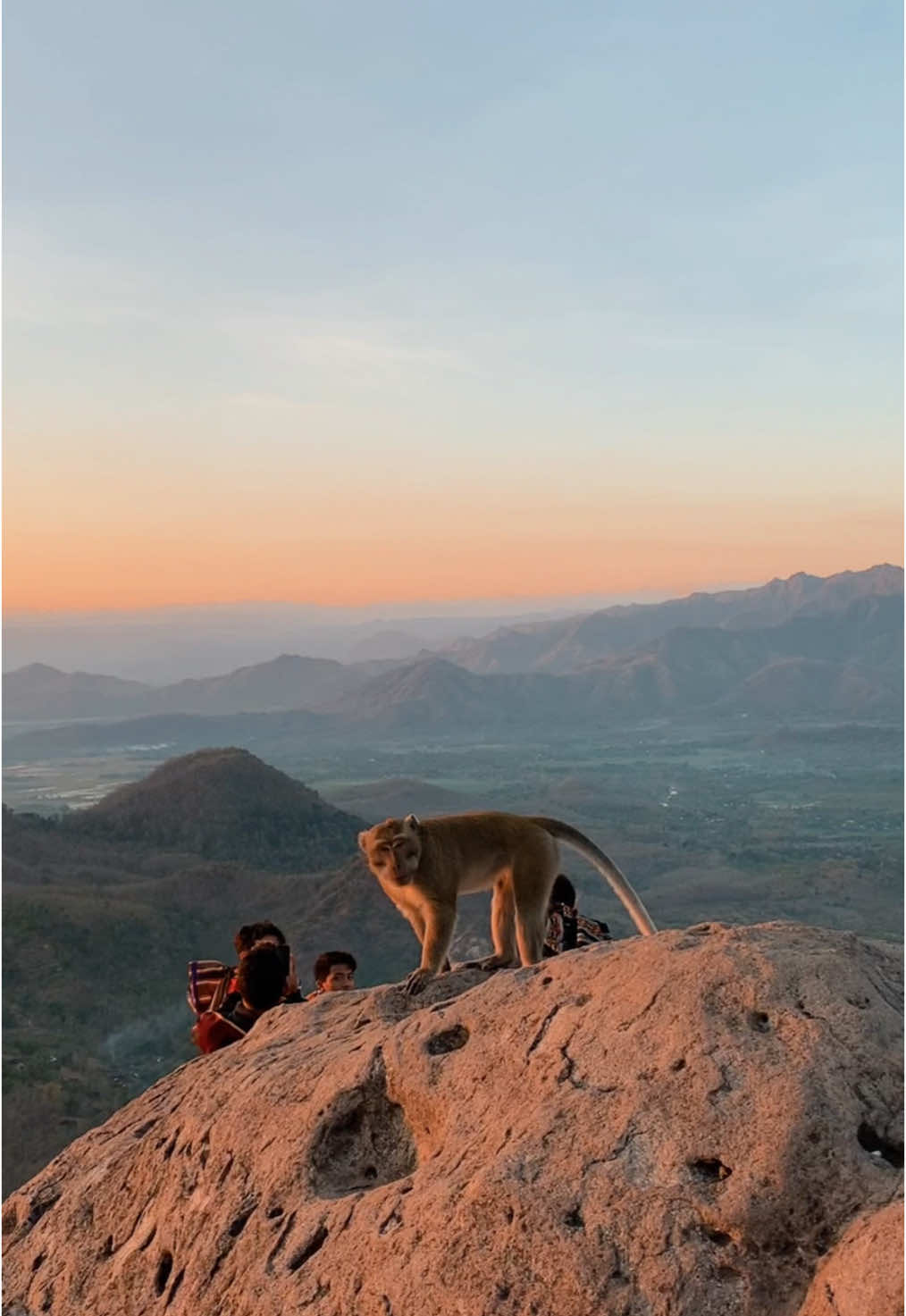 catching golden sunrise terrr baguuuuusss 🌄🥹 #cumbri #bukitcumbri #wonogiri #ponorogo 