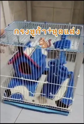 #กรงชูก้า #กรงชูก้าพร้อมชุดแต่ง #กรงสัตว์เลี้ยง #กรงกระรอก #นายหน้าtiktokshop  #นายหน้ามือใหม่ #เทรนด์วันนี้ 