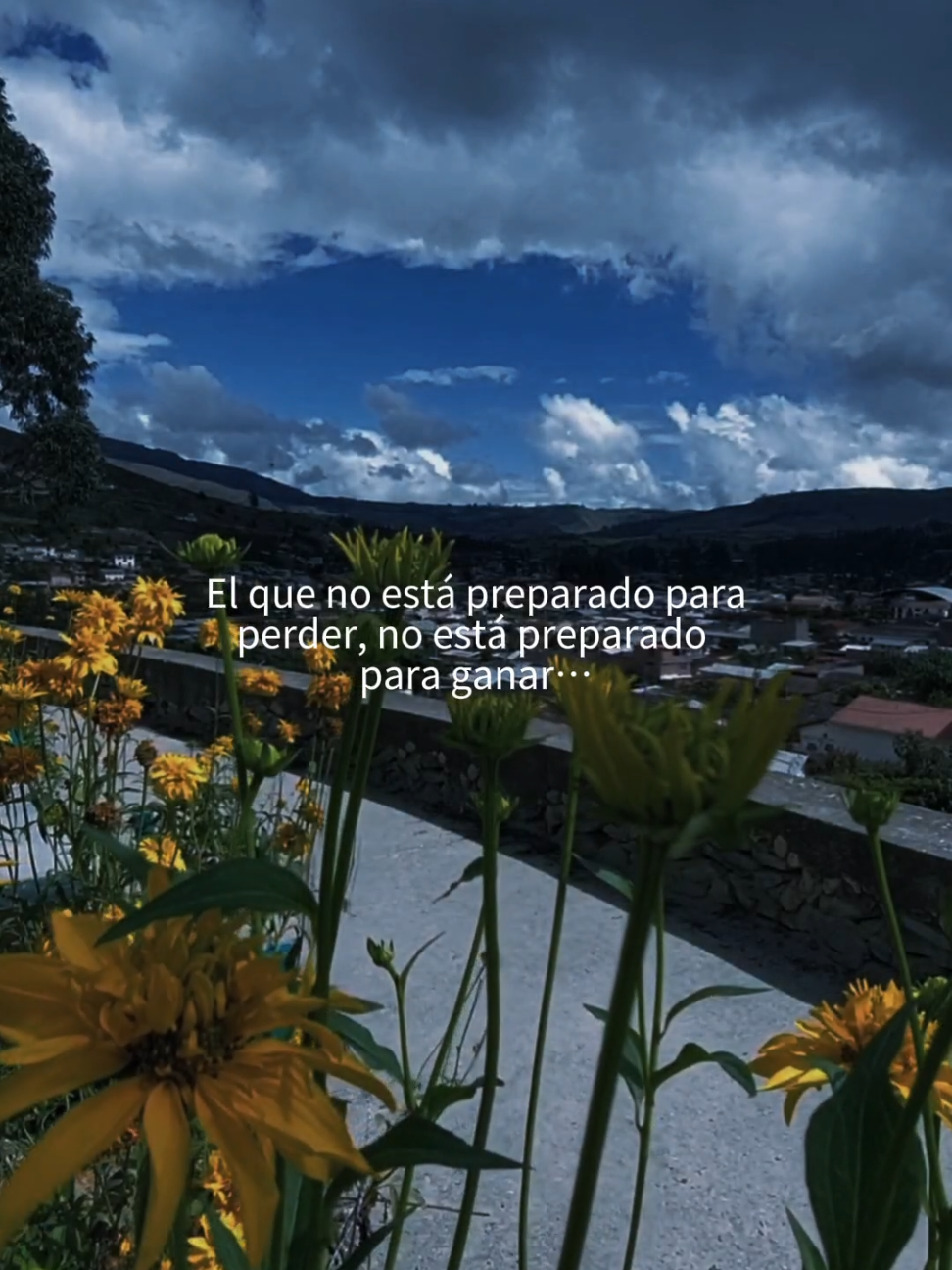 Si no estás dispuesto a perder, tampoco estás listo para ganar. #desarrollopersonal  #motivation  #exitopersonal  #superacionpersonal  #negociosonline  #hotmartprincipiante  #CapCutMotivacional  #Motivacional  #reflexaododia  #CapCut 