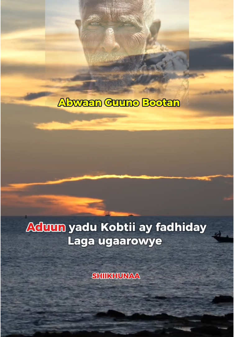 Qeybtii labaad gabaygii Abwaan guuno bootan uu Ka tiriyay dagaalkii dibira so Uma eka maanta in la tiriyay gabaygan #somalitiktok #gabay #shiikhunaa #idaaja #fouryou #foreyoupage #sayidmaxamed #galayax #ismailmire #salaancarabey 