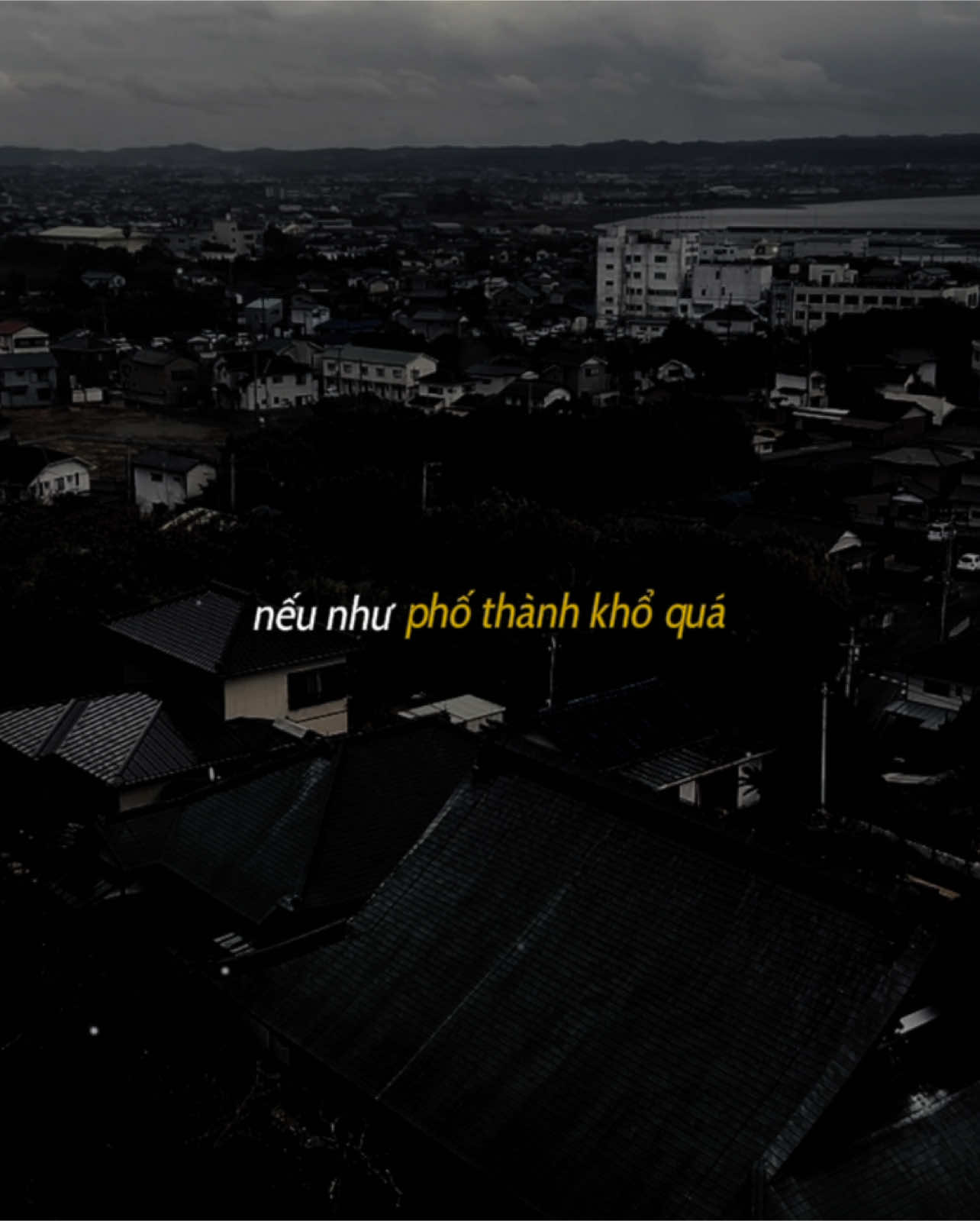 Tết năm nay bạn có về thăm gđ hong ..?