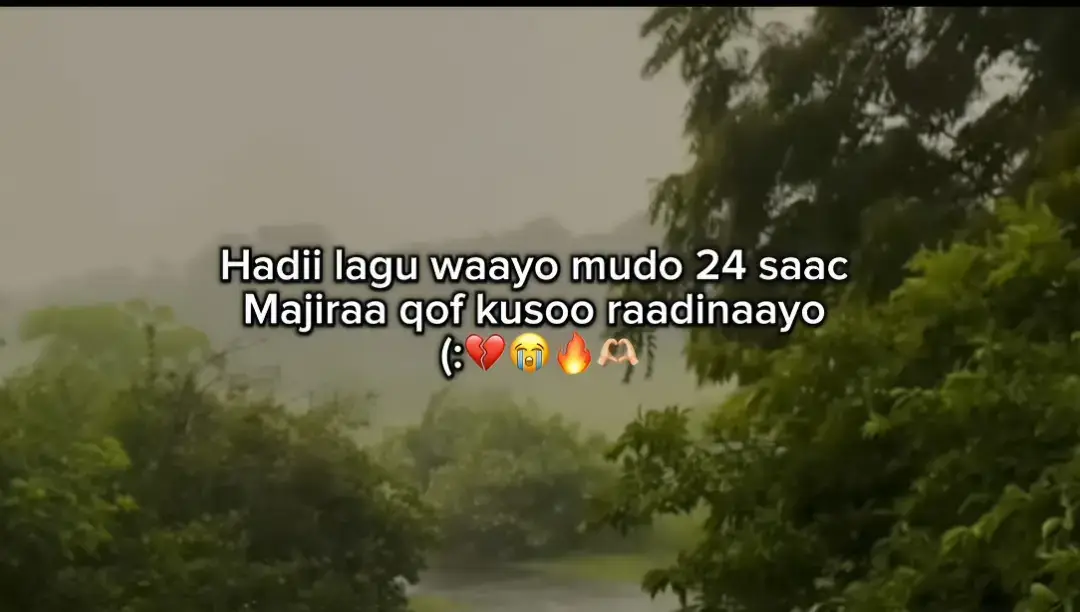 majira qof kusoradinayo 💔🥺 love saar  #ghhhfddsstghtrttgv😭💞 #ganisher_nurullayev #ghhhfddsstghtrttgv😭💞 #ghhhfddsstghtrttgv😭💞 #ganisher_nurullayev #ghhhfddsstghtrttgv😭💞 