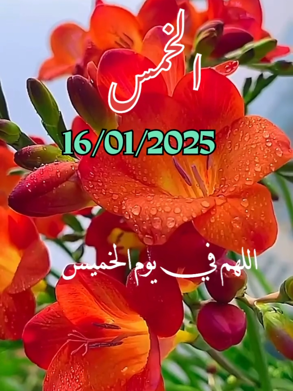 اللهم_في_صباح_يوم الخميس_يارب #دعاء_يريح_القلوب _أنشر _ اكتب شيء_ سورة الكهف_وصلي على سيدنا محمد ﷺ#اسلاميات_صور_مقاطع_ايات_معلومات_قرآن_مسلم_ادعية_استغفر_الله #fypシ゚viral #1millionaudition #🤲🤲🕋🕋🤲🤲 #عيد_سعيد  Oh mon Dieu, Jeudi, Seigneur Oh God, on Thursday Lord