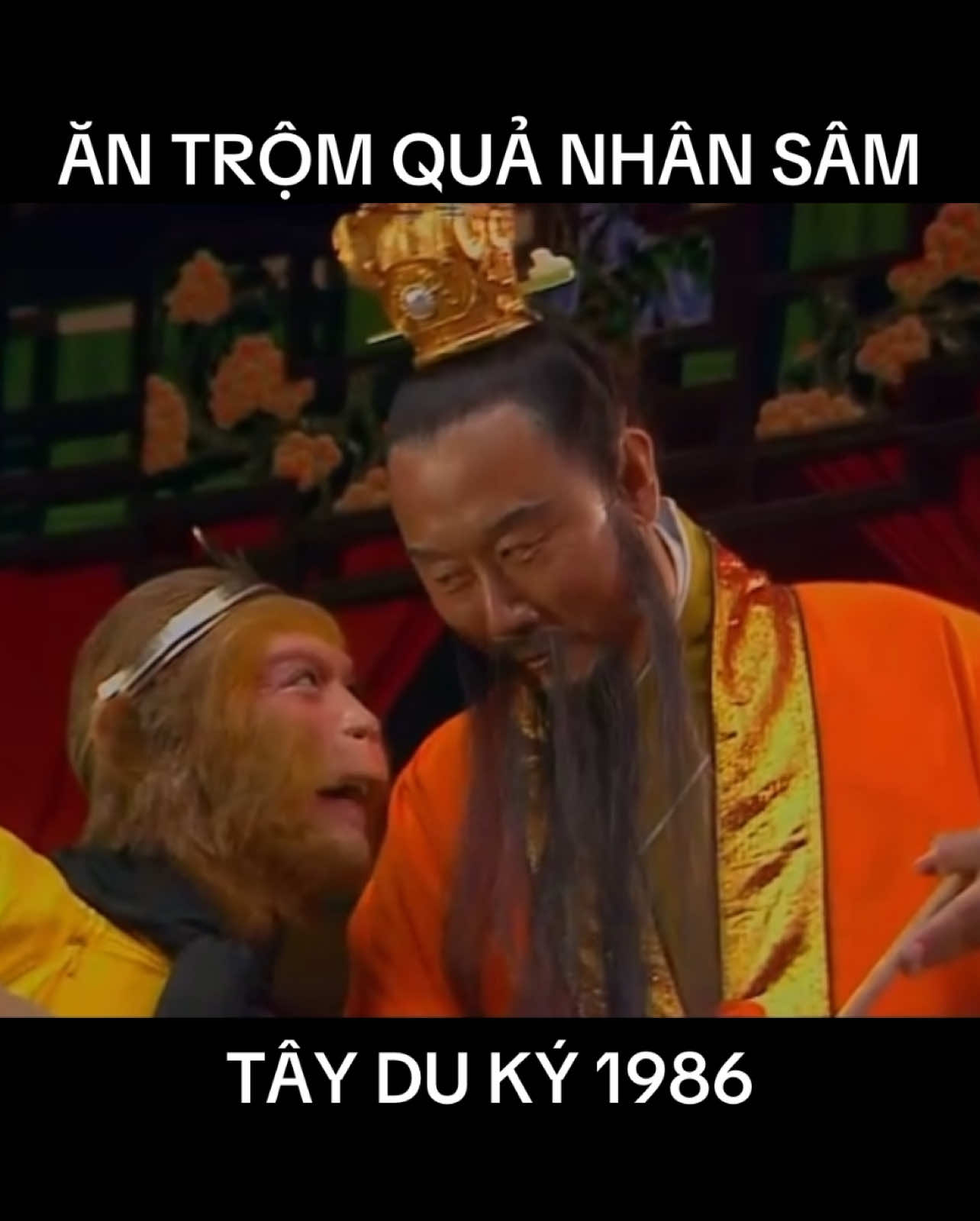 Ăn Trộm Quả Nhân Sâm #tayduky1986 