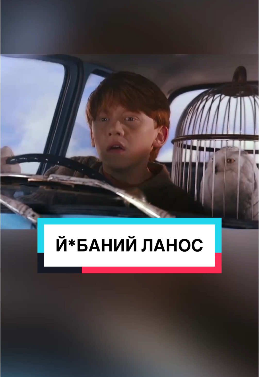 Гаррі Поттер і Йобаний Ланос #переозвучка 