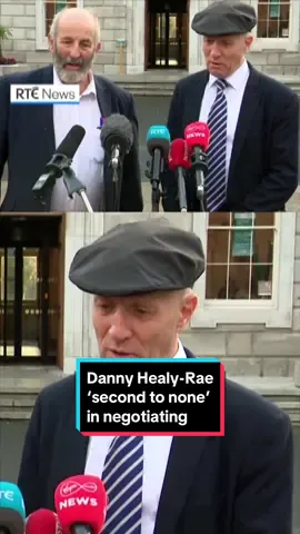 Michael Healy-Rae has said if Donald Trump needed an able person to help him stop the war in Ukraine, he should look to his brother, Danny. 