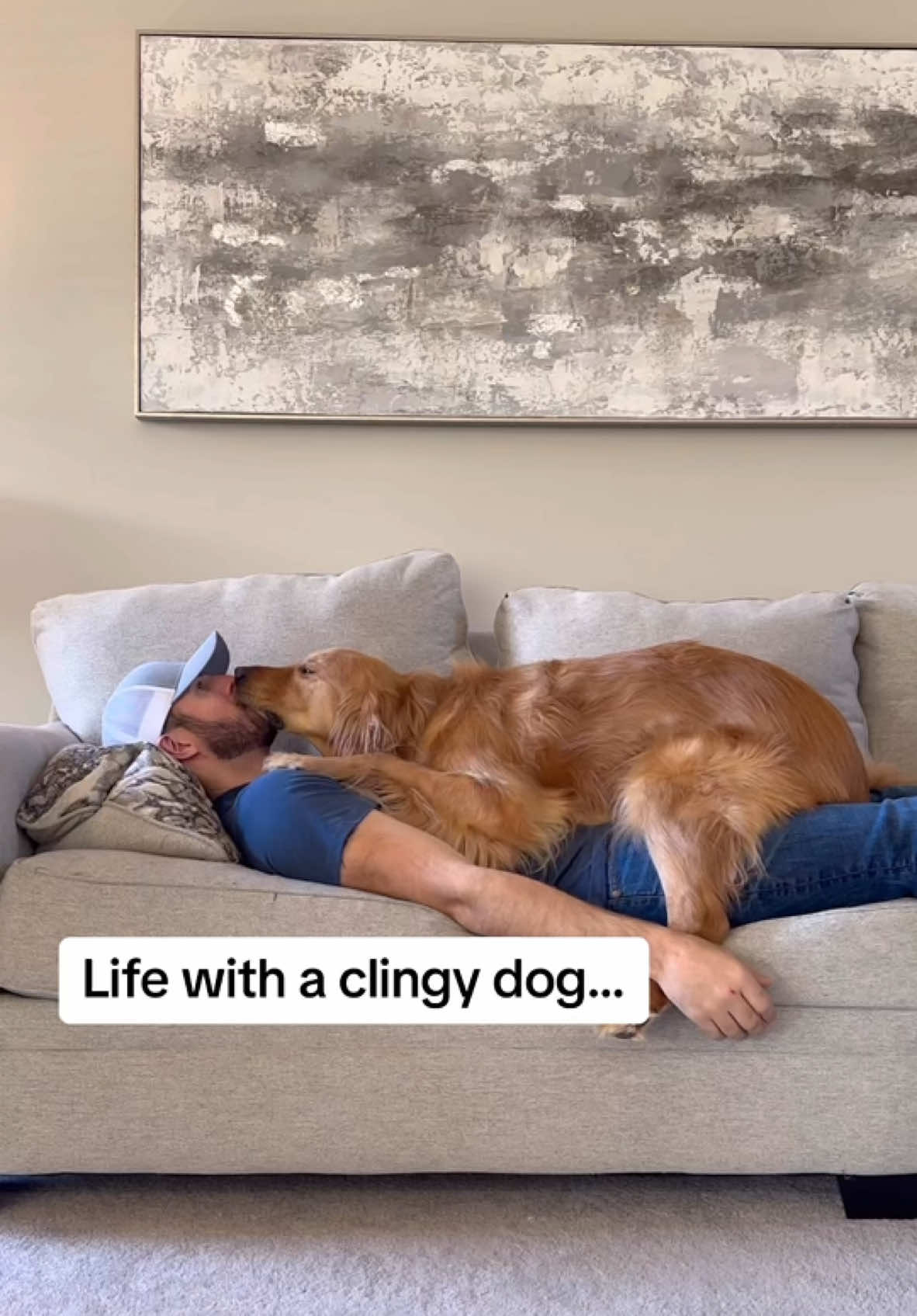 I have a very clingy dog… #dog #goldenretriever 