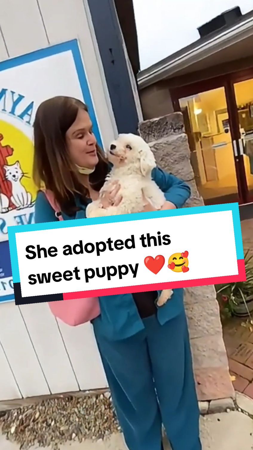 Dogs Adopting Priceless Moments ❤️ #dog #dogsoftiktok #doglover #dogmom #dogtok #doggo #puppy #puppytiktok #shelter #shelterdog #adopted #adoption #emotional #hearttouching #wholesome #heartwarming #heartmelting #fyp #foryoupage #fyp 