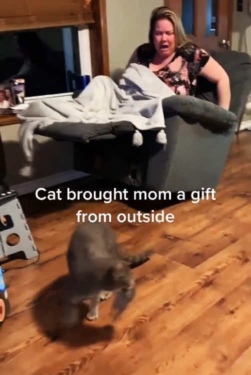 Cat’s gift to owner#cat #cats #cutecat #catsoftiktok #fyp #catlover 