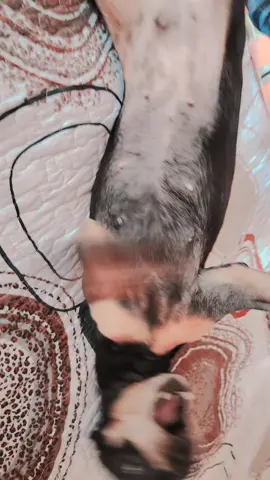 🙈