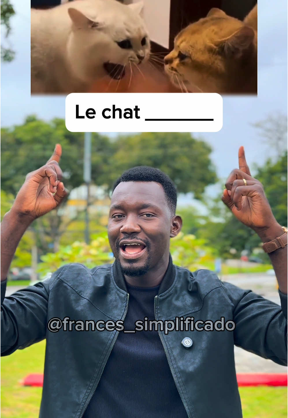Sons dos animais em francês. Clique no link que está no meu perfil para mais informações sobre o curso. #falarfrances  #aprenderfrances  #cursodefrances  #professordefrances #frances 