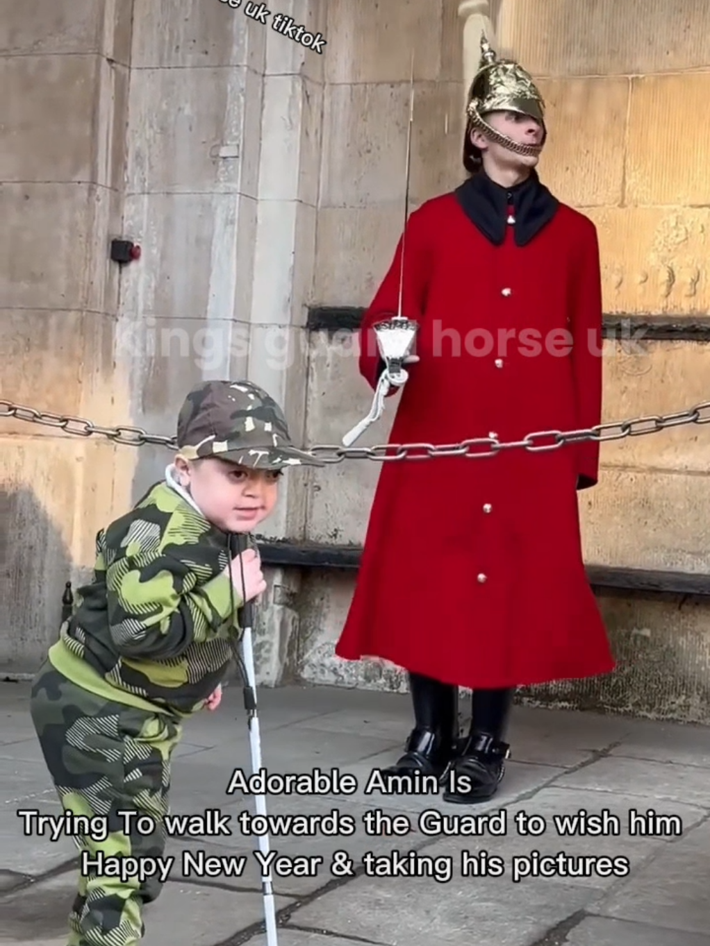 Adorable Amin Greets the Guard a Happy New Year #royalguard #kingsguard #kingguardhorse 